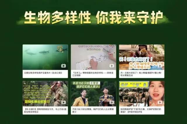 COP15“自然万物 共同守护”Women4Biodiversity短视频大赛征集启事