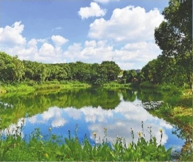 5年内武汉基本消除劣Ⅴ类湖泊 中心城区建成40个湖泊公园