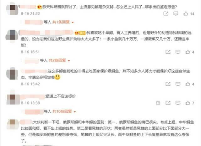 快下锅的鱼被认定是野生中华鲟！男子被抓引质疑 检测机构称正重新鉴定