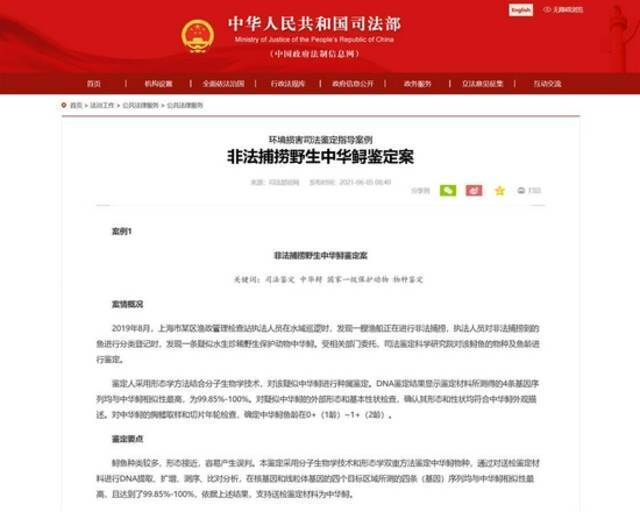 司法部曾在相关案例中论述了鉴定中华鲟的要点（图源：国家司法部官网）