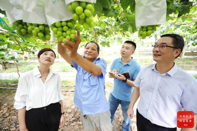 镜头  战高温斗酷暑 挥洒汗水在一线