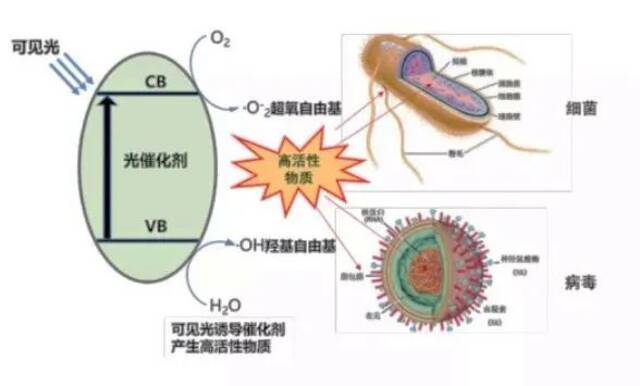 ▲光催化技术消毒灭菌技术原理示意图