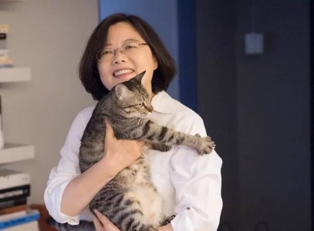 声称爱猫的蔡英文。图自台湾“联合新闻网”