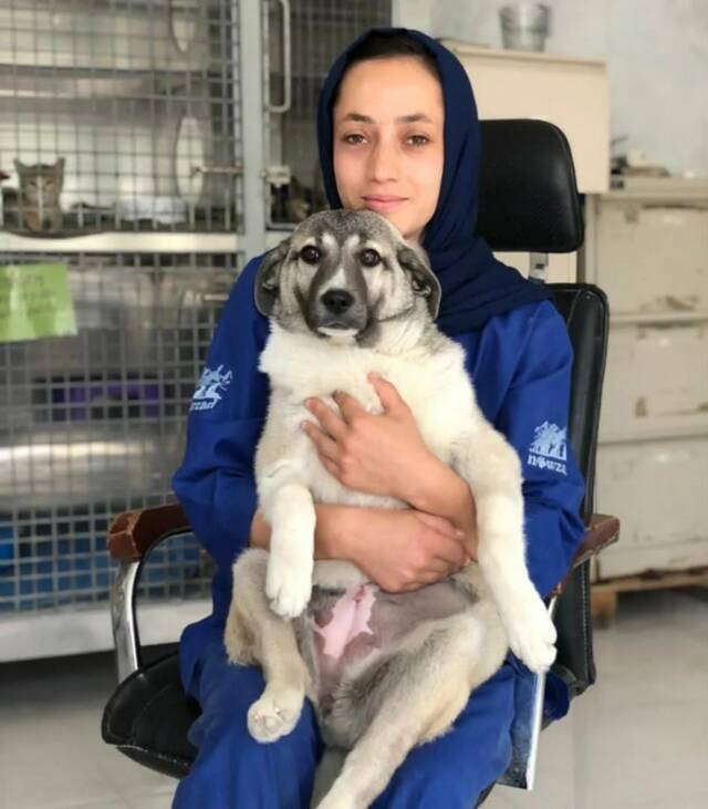 动物慈善机构诺扎德（Nowzad）中的一员与她照顾的狗。受访者供图