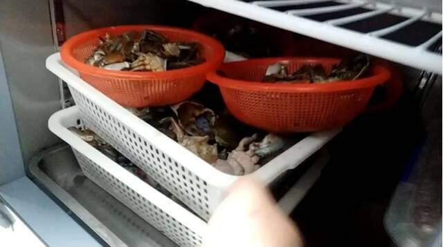 ▲7月16日，胖哥俩肉蟹煲凯德MALL大峡谷店，前一天宰杀的螃蟹没有用完，后厨员工将剩下的螃蟹放在冰箱里冷藏，看起来已经不是很新鲜。新京报记者韩福涛摄