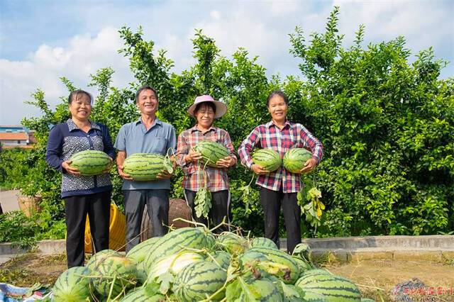 处暑时节瓜果飘香，在鹿寨县导江乡西瓜种植基地，瓜农们手捧西瓜，丰收的“笑意”刻满了脸庞。（鹿寨县纪委监委覃智锋/摄）