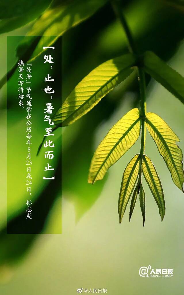 处暑丨秋天正在抵达的路上