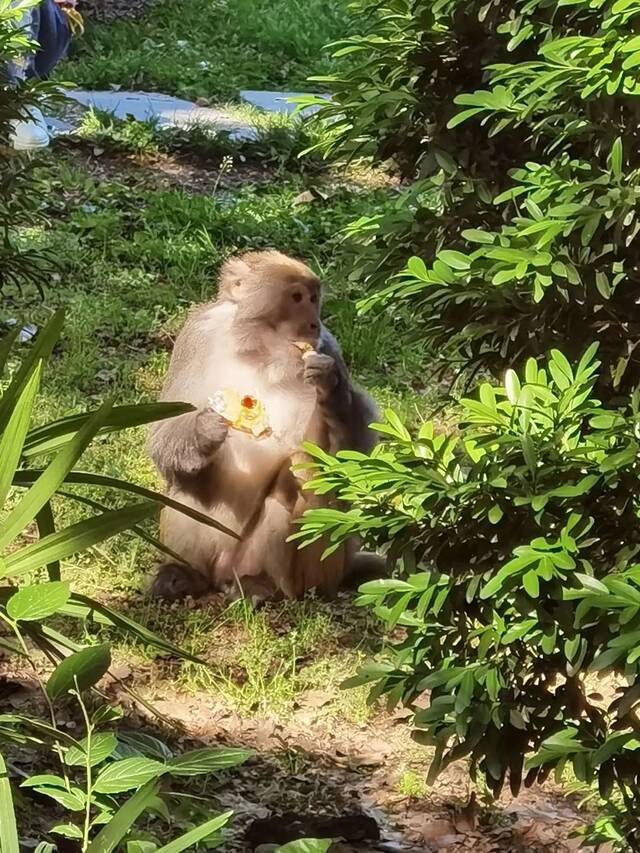 在贵大，每个瞬间都是闯入心头的美好