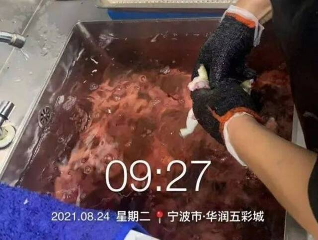 宁波8家“胖哥俩”肉蟹煲检查结果：未发现媒体曝光的问题