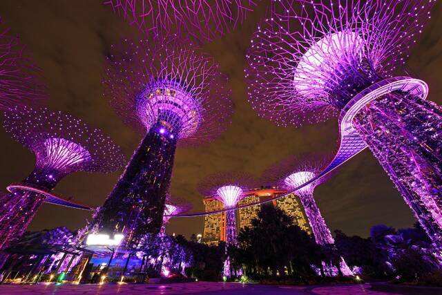 新加坡为残奥会点亮。