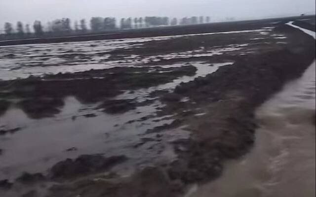 8月22日，周口暴雨过后，前邵村补种的农作物再次被淹。视频截图
