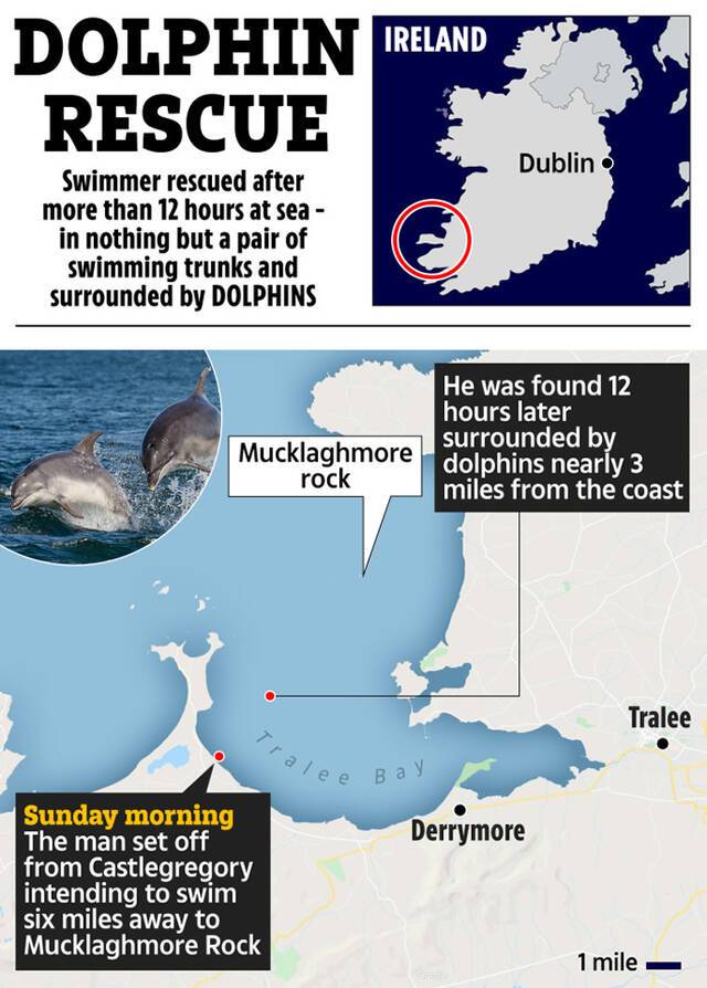 英国男子想要横跨海峡游到一半体力不支一群海豚帮助才让他没有失温死亡