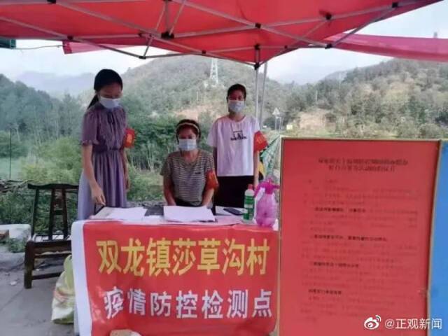 河南一20岁女大学生支援家乡防疫工作不幸身亡