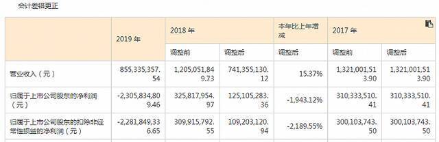 图片来源：ST北文2019年年度报告