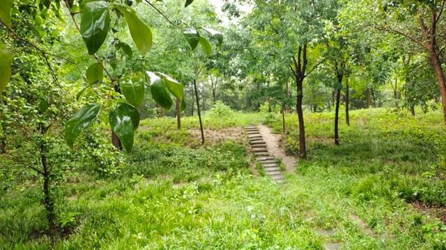 河南继续发布暴雨蓝色预警：郑州等地局地降水量将超100毫米