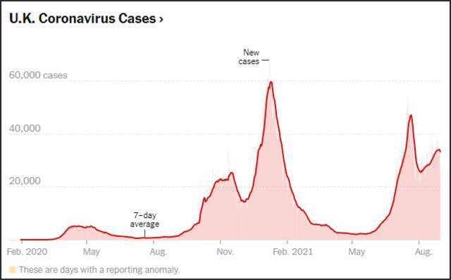 英国新增确诊数曲线（2020年2月-今）截自《纽约时报》