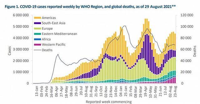 世卫组织：上周上报病例最多的国家是美国、印度、伊朗、英国和巴西