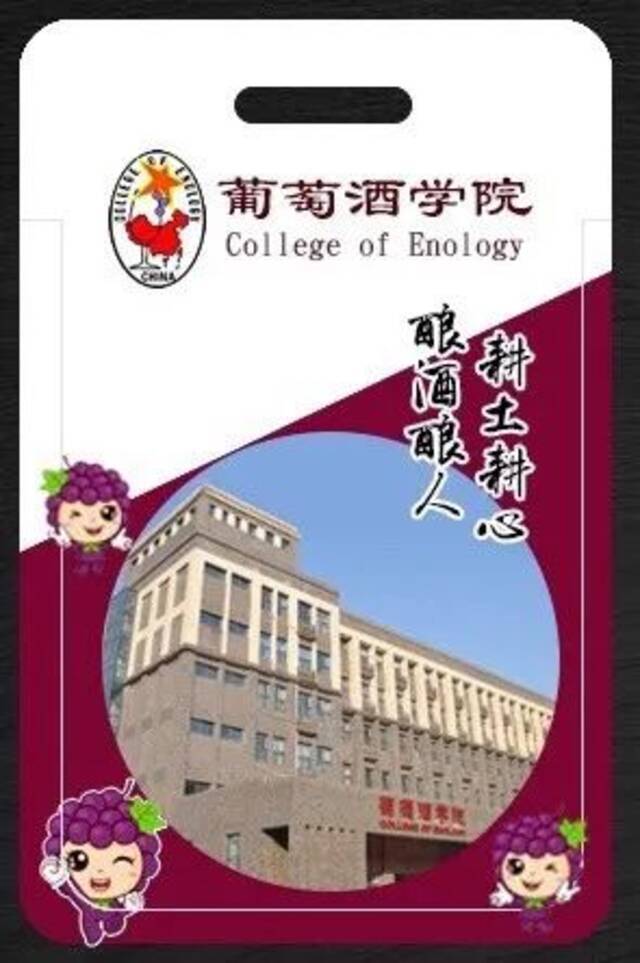 别人家的大学！从大一开始宠你……