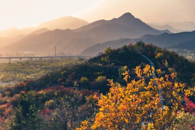 美！北化的“颜值巅峰”是……