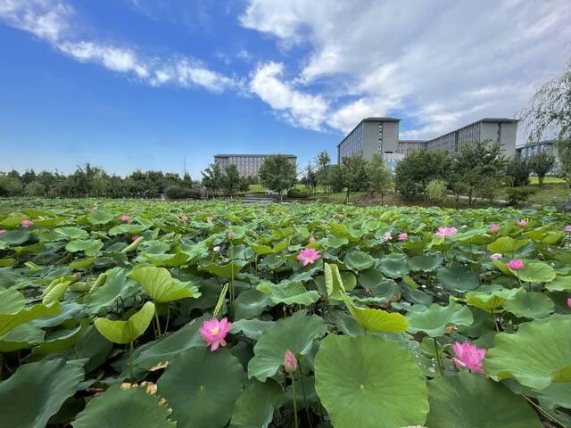 美！北化的“颜值巅峰”是……