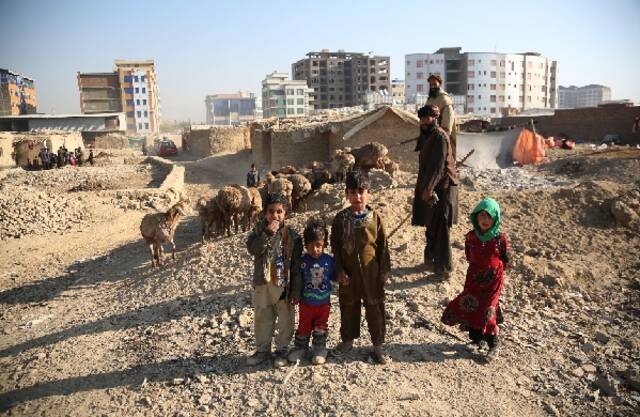 ↑2018年11月20日，失学儿童和家人一起在喀布尔放羊。新华社发（拉赫马特·阿里扎德摄）