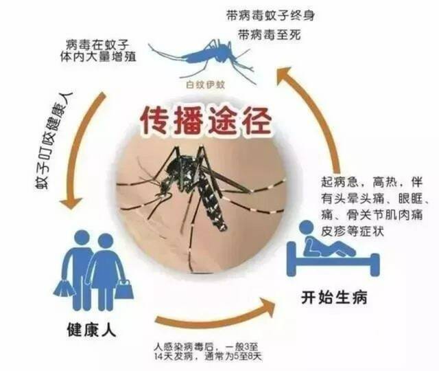 9月，请重点防范4种病