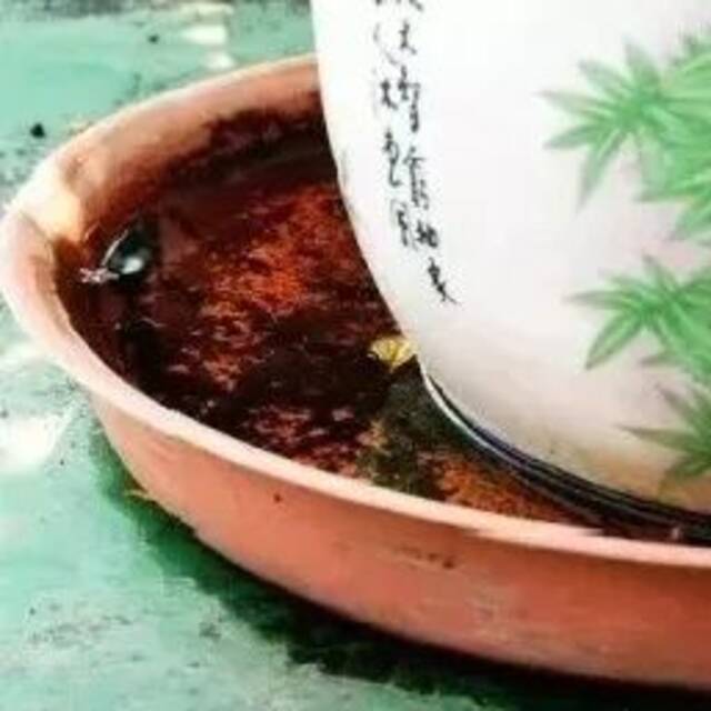 9月，请重点防范4种病