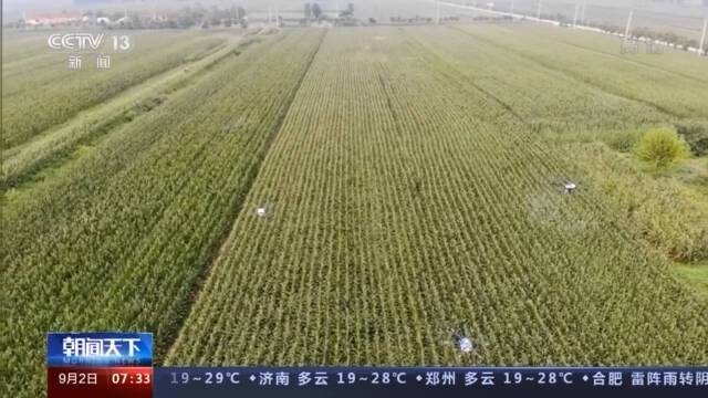 农业农村部：我国今年秋粮丰收基本面仍然较好