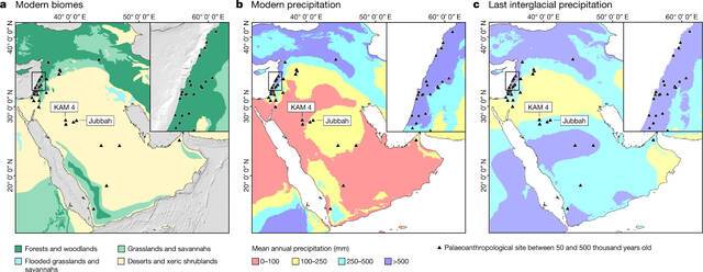 过去40万年里智人及其近亲多次在阿拉伯内陆迁徙
