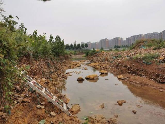 河南汝州大雨冲刷河滩惊现大象盆骨化石