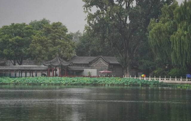 雨中的胡同和什刹海，美如江南烟雨，感受古都静谧