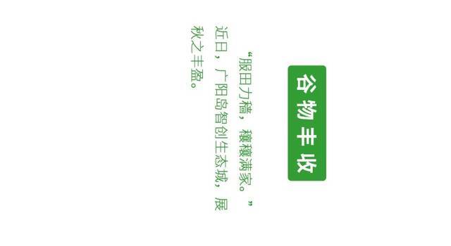 广阳岛智创生态城有多美？大片来了！