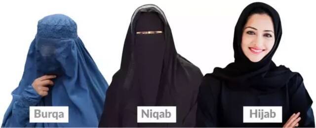 罩袍Burqa、面纱Niqab和头巾Hijab对比（图源：Psephizo）