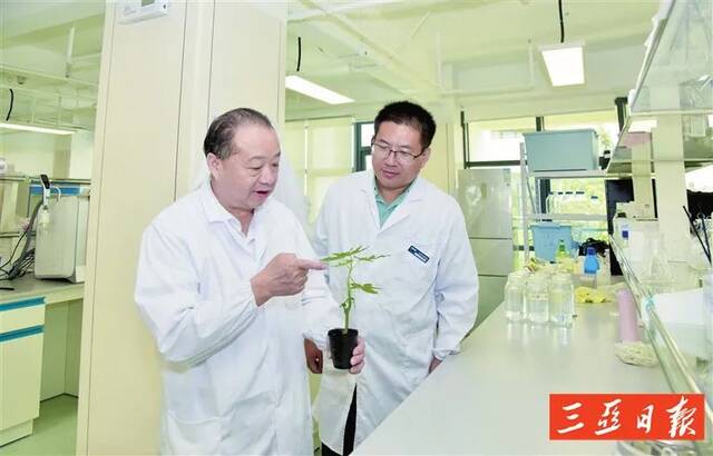 中国热带农业科学院副院长郭安平（左）正在指导博士研究生。记者刘琪成摄