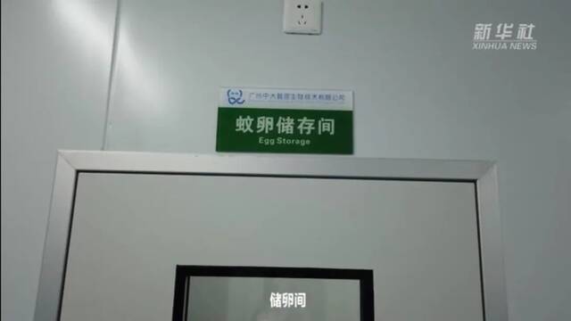 核技术灭蚊！中山大学“蚊子工厂”助力世界灭蚊