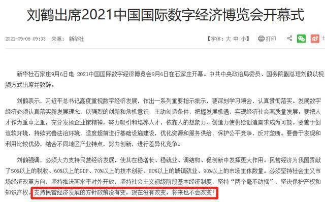 ▲9月6日，国务院副总理刘鹤出席2021中国国际数字经济博览会开幕式时强调，支持民营经济发展的方针政策没有变，现在没有改变，将来也不会改变！图/中国政府网截图