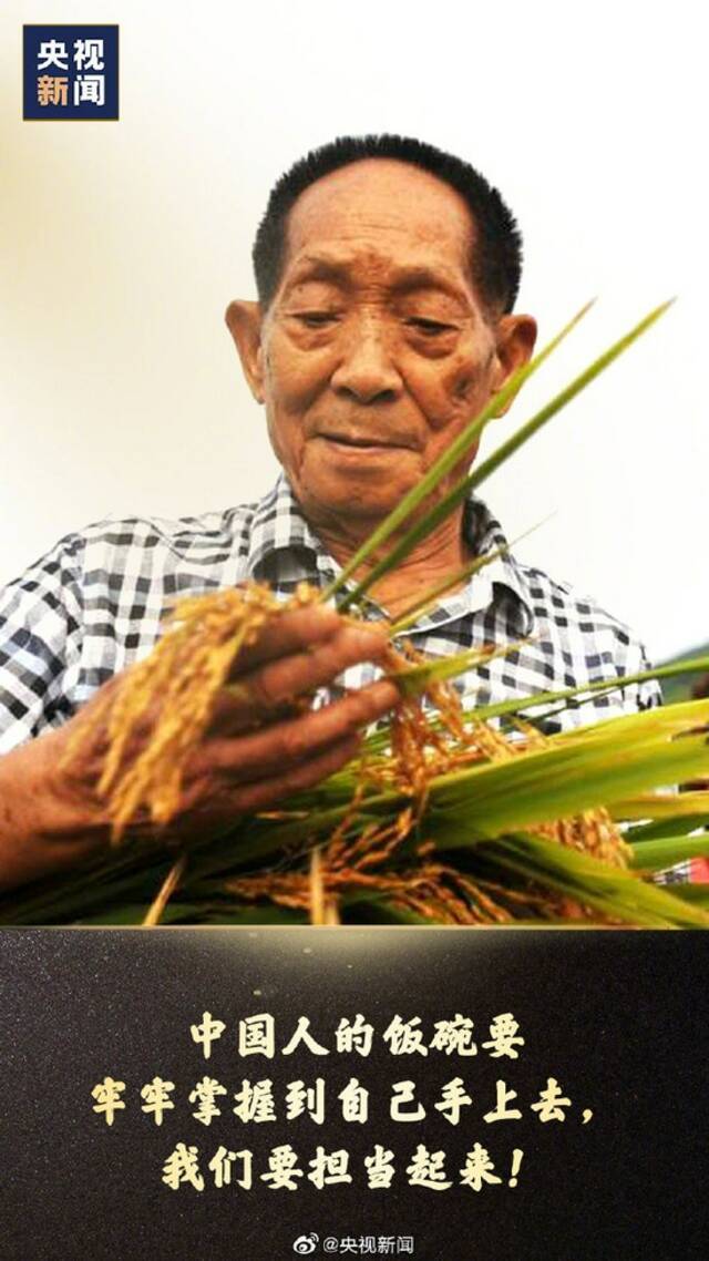 今天是袁隆平院士诞辰，一起致敬！