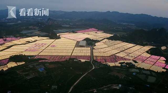 视频｜流动的中国丨5万只灯泡，是乡亲们不多的浪漫