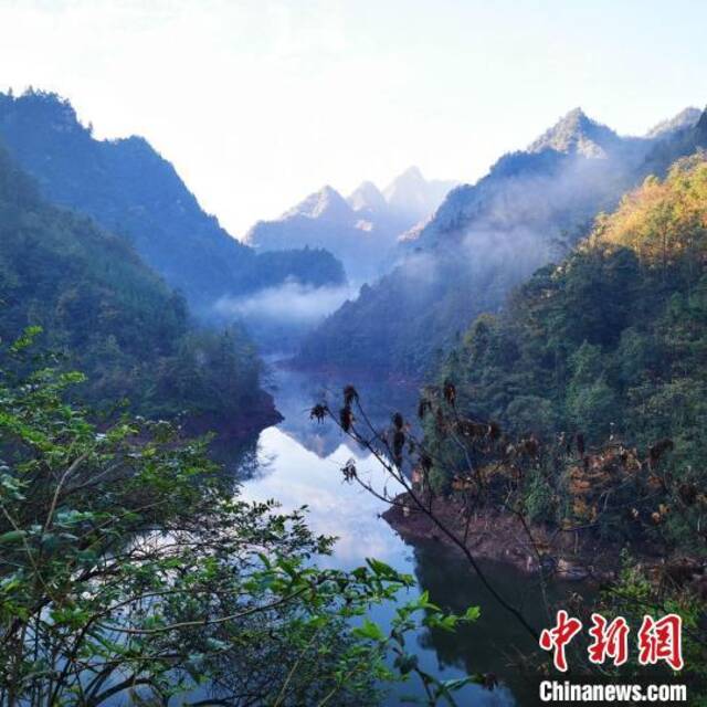 黄荆老林自然保护中心成立 探索生态保护与社区经济发展平衡
