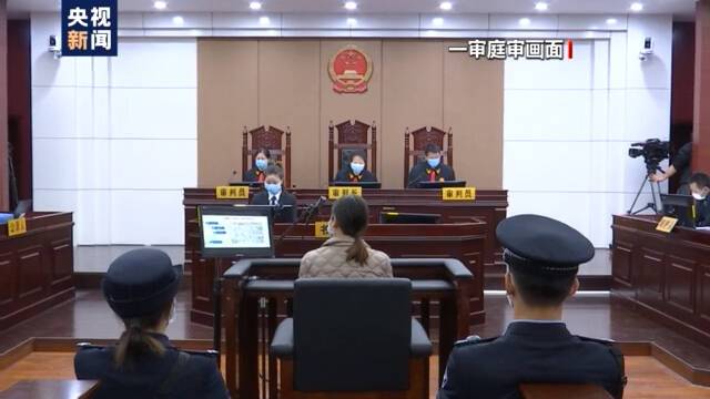 身负7条人命、逃亡20年 劳荣枝案庭审直击