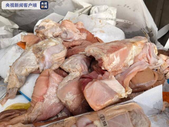 广东阳江海警局破获特大走私冻品案 查扣标准集装箱29个