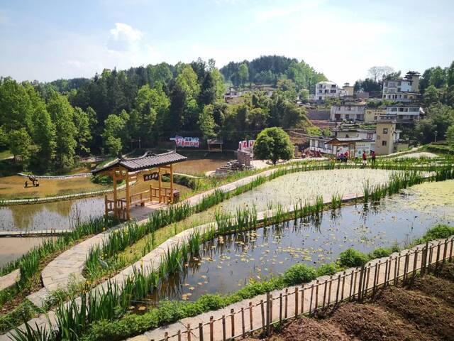 堰塘村风光图：芙蓉街道宣传办