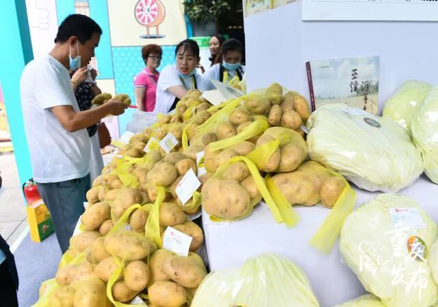 市民在解放碑国泰广场选购巫溪洋芋等农产品。邹乐摄