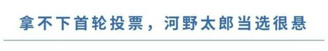 这位“知华派”或为下一任日本首相