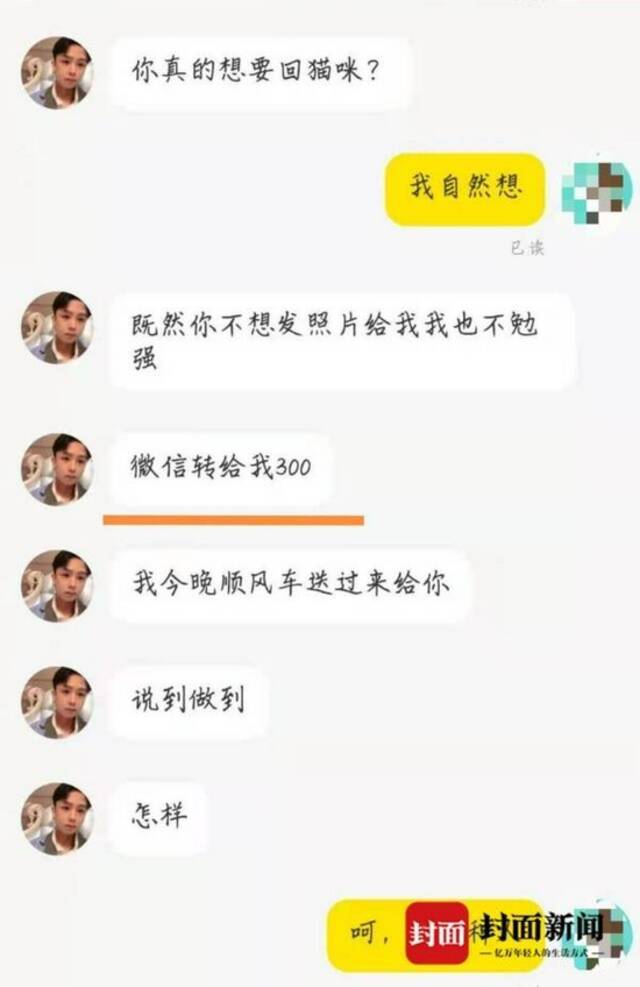 广东一男子收养猫咪后向原主人索要裸照和钱，无果后虐杀猫咪