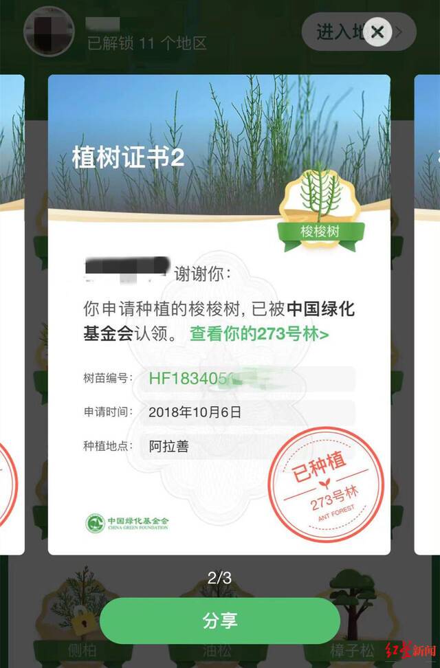 ▲蚂蚁森林用户在阿拉善地区种植的梭梭。受访人供图