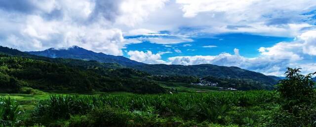 小黑山保护区侯云鹏摄