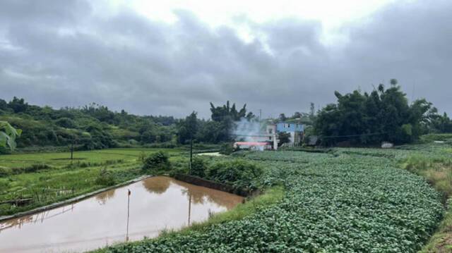 泸县地震遇难者：一人被砖块砸中身亡，两人房屋垮塌被压离世