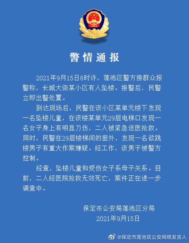 保定通报儿童坠楼事件:母子死亡 涉案男子被控制