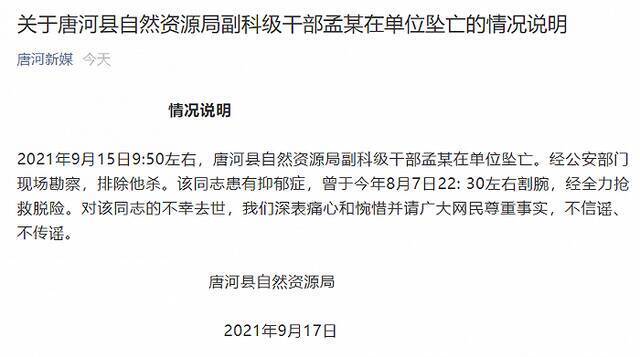 河南南阳一自然资源局副科级干部在单位坠亡，当地通报：排除他杀，曾患有抑郁症